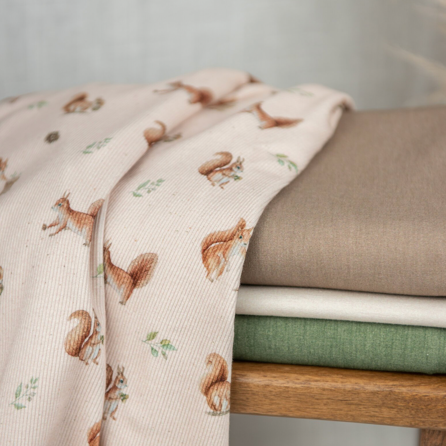 Bio Heavy Ribjersey | Eichhörnchen