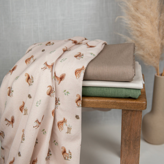 Bio Heavy Ribjersey | Eichhörnchen