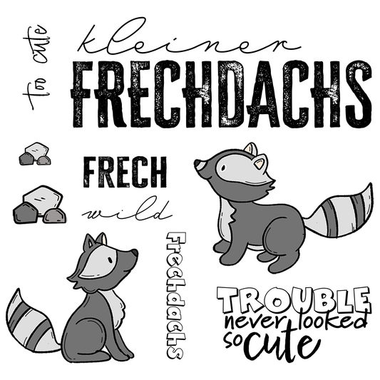 Bügelbild Groß | Waschbär